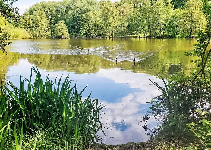 Nyaraló Hebbink By Interhome Frankenau